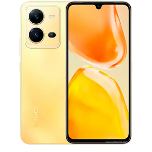 Vivo V25
