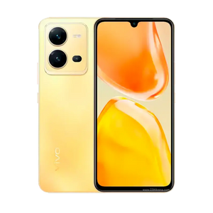 Vivo V25
