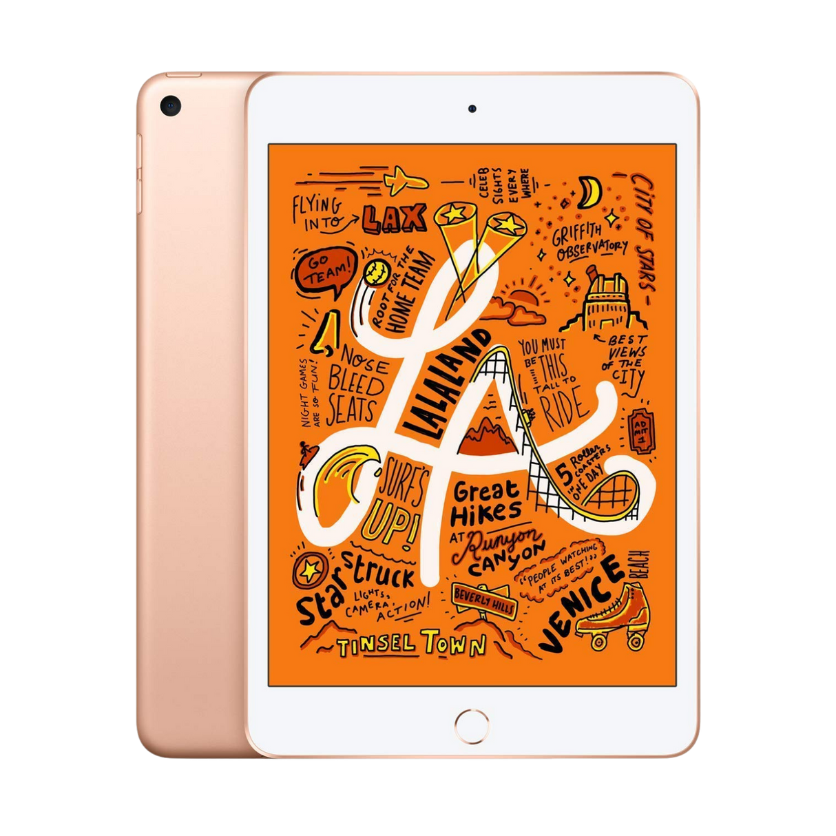 iPad Mini 5 5ta Gen