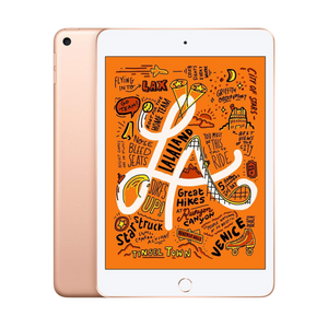 iPad Mini 5 5ta Gen